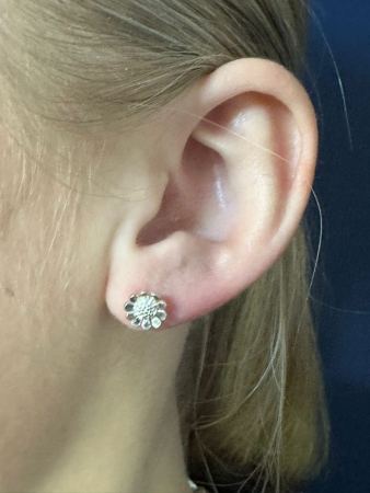 The Daisy Stud
