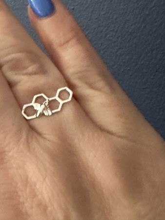 The Honeycomb Bee